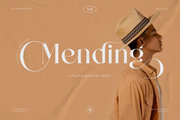 Mending Font: Elegant Serif for Branding
