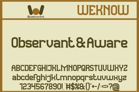 Observant and Aware Typeface Review